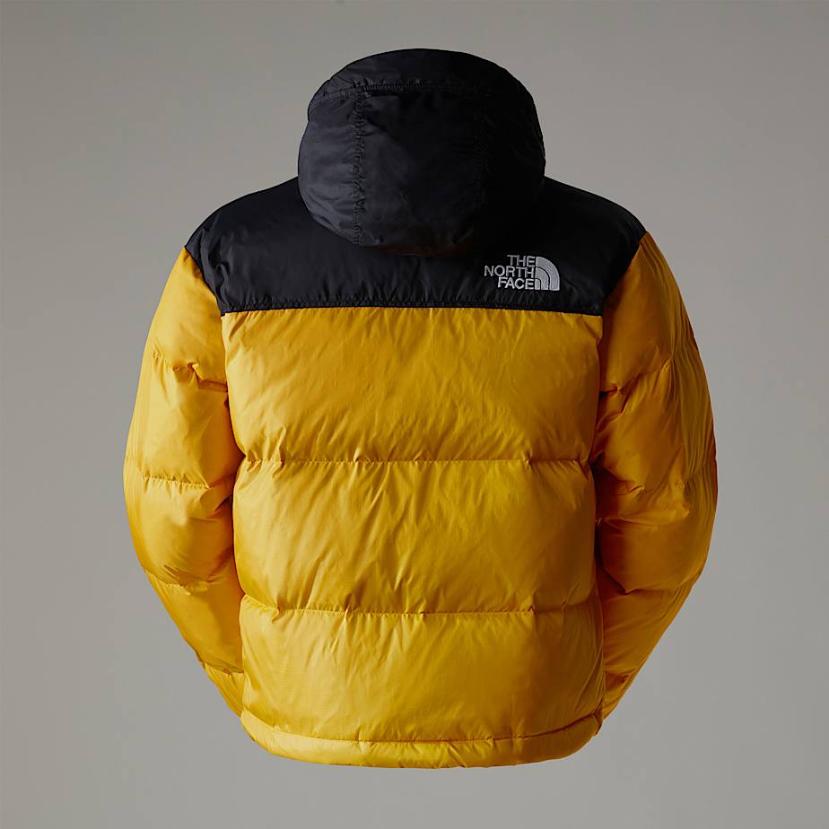 Veste 1996 Retro Nuptse